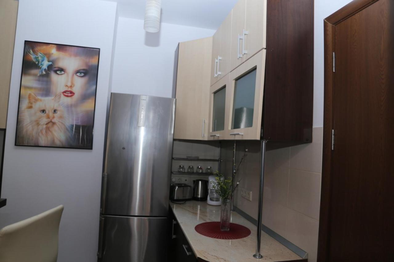 Balcescu Alina'S Apartament Sybin Zewnętrze zdjęcie