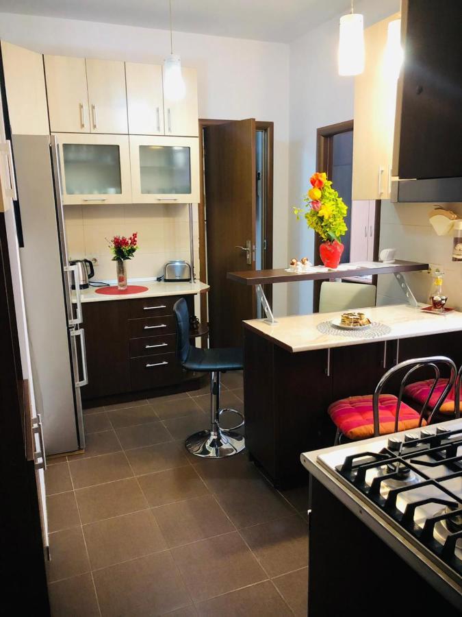 Balcescu Alina'S Apartament Sybin Zewnętrze zdjęcie